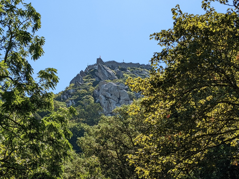 A stone fortress on a hilltop, framed by trees